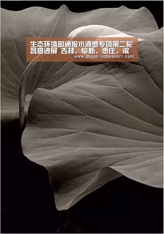 生态环境部通报水源地专项第二轮督查进展 吉林、阜新、枣庄、滨州等地完成水源地全部问题整治任务-Yabo(图3) 亚博官网